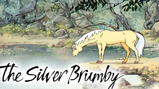 The Silver Brumby-  Getting Together & The Final Encounter 🐎 | HD FULL EPISODES