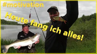 Einfach angeln mit der Pose auf Raubfisch und Friedfisch heute fange ich alles