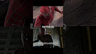 SpiderMan (Tobey) VS SpiderMan (Andrew)