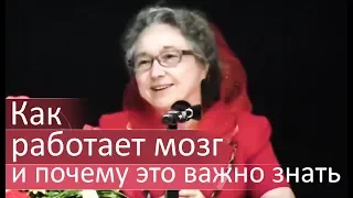 Как работает мозг мужчины и женщины (и почему это важно знать) - Людмила Плетт