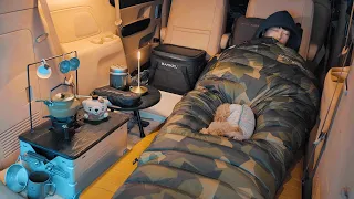 Solo Car Camping in Island with My Dog . Relaxing Van Life . The Sound of Waves ASMR