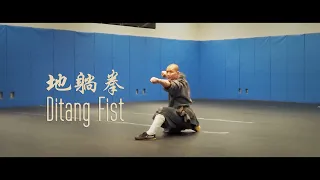 Ditang Fist (地躺拳) by Master Shi Yanhe (释延赫) @ performs @ VPRC