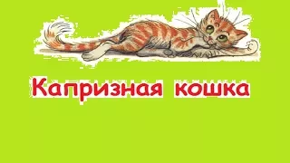 "Капризная кошка" Веселые сказки для детей. Сказки Сутеева с красочными картинками. (Full HD)