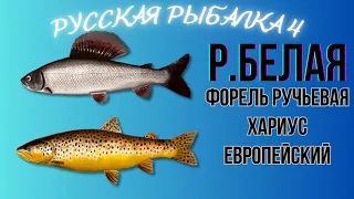 Русская Рыбалка 4. Река Белая. Хариус европейский и форель ручьевая. Ловля. Проверка точек.