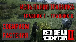 Испытания травника в Red Dead Redemption 2 - Травник 1-8