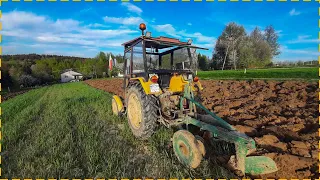 Ursus C330 + Unia Grudziądz 2  ✔  żyto na poplon 🌿   [Agro Vlog #10]