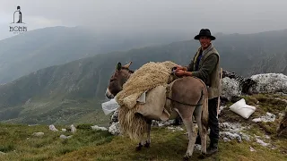 VIAȚA CIOBANILOR DIN MUNȚII RETEZAT CU PUIU MĂDĂLIN - DOCUMENTAR EP.1