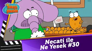 Necati ile Ne Yesek? #30 - Kral Şakir