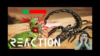 Reaction to @TierZoo - Are Scorpions OP?