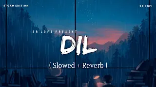 Dil - Lofi (Slowed + Reverb) | Raghav Chaitanya | Storm Edition | SR Lofi