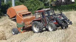 PRESSATURA PAGLIA NEI MIEI TERRENI | FIATAGRI 70-90 DT +  GALLIGNANI 3150L | "DI FEBO PAOLO"