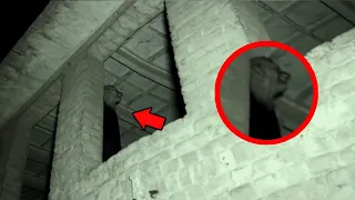 These Scary Videos Are Panic On The Internet !