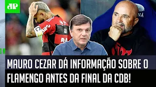 "Pelo que EU APUREI HOJE, a TENDÊNCIA é que o Sampaoli..." Mauro Cezar DÁ INFORMAÇÃO sobre Flamengo!