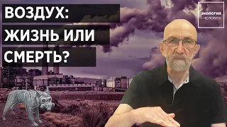 Загрязнение воздуха - недооцененная опасность? Экология и Человек