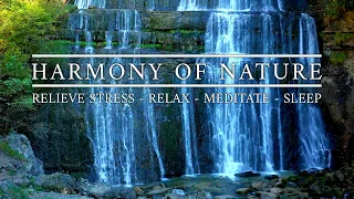 Beautiful Emotional Relaxing Music for Relaxation-Meditation-Sleep-Stress Relief - Harmony of nature