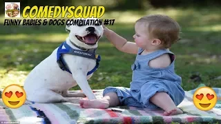 Funny Dogs and Babies Playing Together-Funny Babies & Dogs Compilation #17
