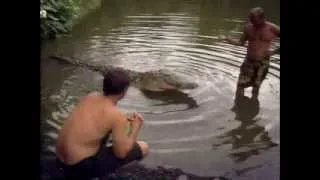 крокодил и человек
