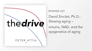 #27 – David Sinclair, Ph.D.: Slowing aging – sirtuins, NAD, and the epigenetics of aging