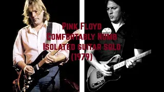 Comfortably Numb - Semi-Isolated Solo | David Jon Gilmour 1979