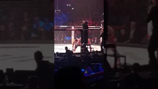 Fedor Emelianenko vs Frank Mir FULL FIGHT from crowd. Chicago 2018 Bellator 198