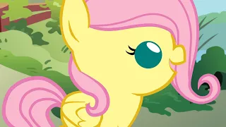 The BEST of Fluttershy! - MLP Baby Comic/Animation Compilation