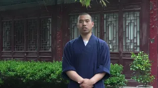 Teach everyone Shaolin Seven Star Fist #yanhao