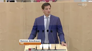 Hannes Amesbauer - Polizeiliches Staatsschutzgesetz - 8.7.2021