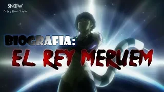 Historia completa de Meruem (Hunter x Hunter) | Snow |