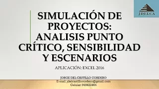 SIMULACION EN PROYECTOS DE INVERSION: PUNTO CRITICOS, SENSIBILIDAD Y ESCENARIOS