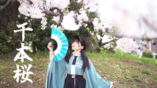 【青乃カレー】千本桜　踊ってみた【桜の前で】