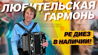 КРУТАЯ ЛЮБИТЕЛЬСКАЯ ГАРМОНЬ // Ре диез