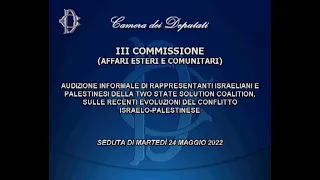 Conflitto israelo-palestinese - Audizione di rappresentanti della Two State Solution Coalition