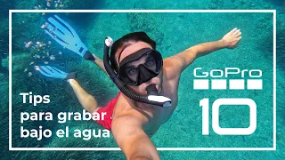 ¿Cómo usar tu GoPro bajo el AGUA? 🤿🐠🐡