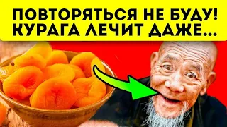 Польза кураги для организма