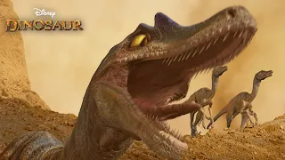 The Velociraptor Attack - Dinosaur (HD Movie Clip)