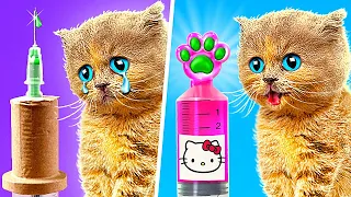 SAVE THESE TINY CATS 😿 Smart Gadgets and Hacks for Pet Owners by 123 GO!