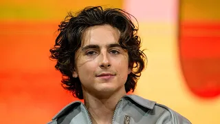 Timothee Chalamet's Bob Dylan Biopic - Cast, Director, And More Info