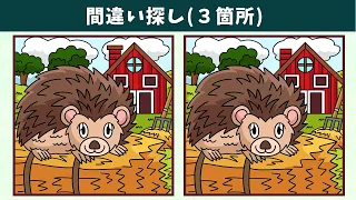 Find 3 Differences | Illustration Version #982