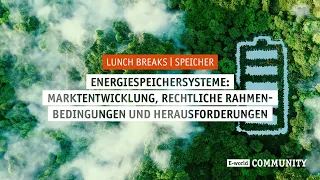 Energiespeichersysteme: Marktentwicklung, rechtliche Rahmenbedingungen und Herausforderungen