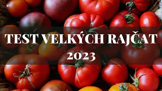 Test velkých rajčat 2023