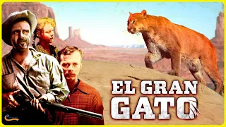 EL GRAN GATO | PELÍCULA DEL OESTE EN ESPAÑOL | Aventuras | 1949