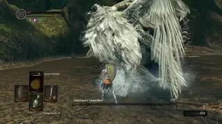 My DS1 SL1 run in 79 seconds