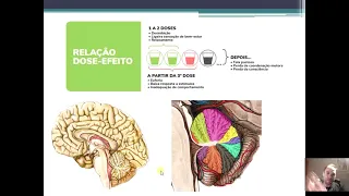 SIPAT  2021 Palestra Segurança 28/05 - Alcoolismo e Tabagismo