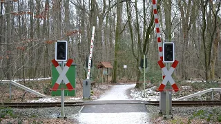 Spoorwegovergang Bad bentheim [D]  - Bahnübergang  - Railroad crossing 2024.