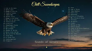 Ethnic Music The Indians' Collection - Sounds of nature