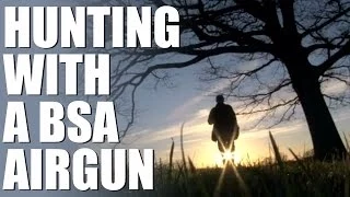 Hunting with a BSA spring air rifle