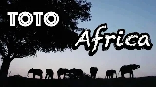 Toto - Africa (TRADUÇÃO)