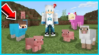 MIPAN & ZUZUZU Main Petak Umpet Tapi Berubah Bentuk Jadi Hewan Di Minecraft! SUSAH DITEMUKAN!