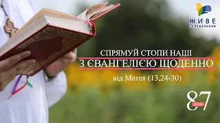 День [87] ▪ ЄВАНГЕЛІЄ від Матея (13,24-30) ▪ ВІВТОРОК V тижня після Зіслання СВ.ДУХА, 27.07.2021