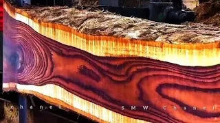 most expensive wood. just one stick, this wood can buy a hectare of land.